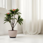 Compact Green and Red Artificial Plant Artificial Tree | Home Decor | Plants and Flowers